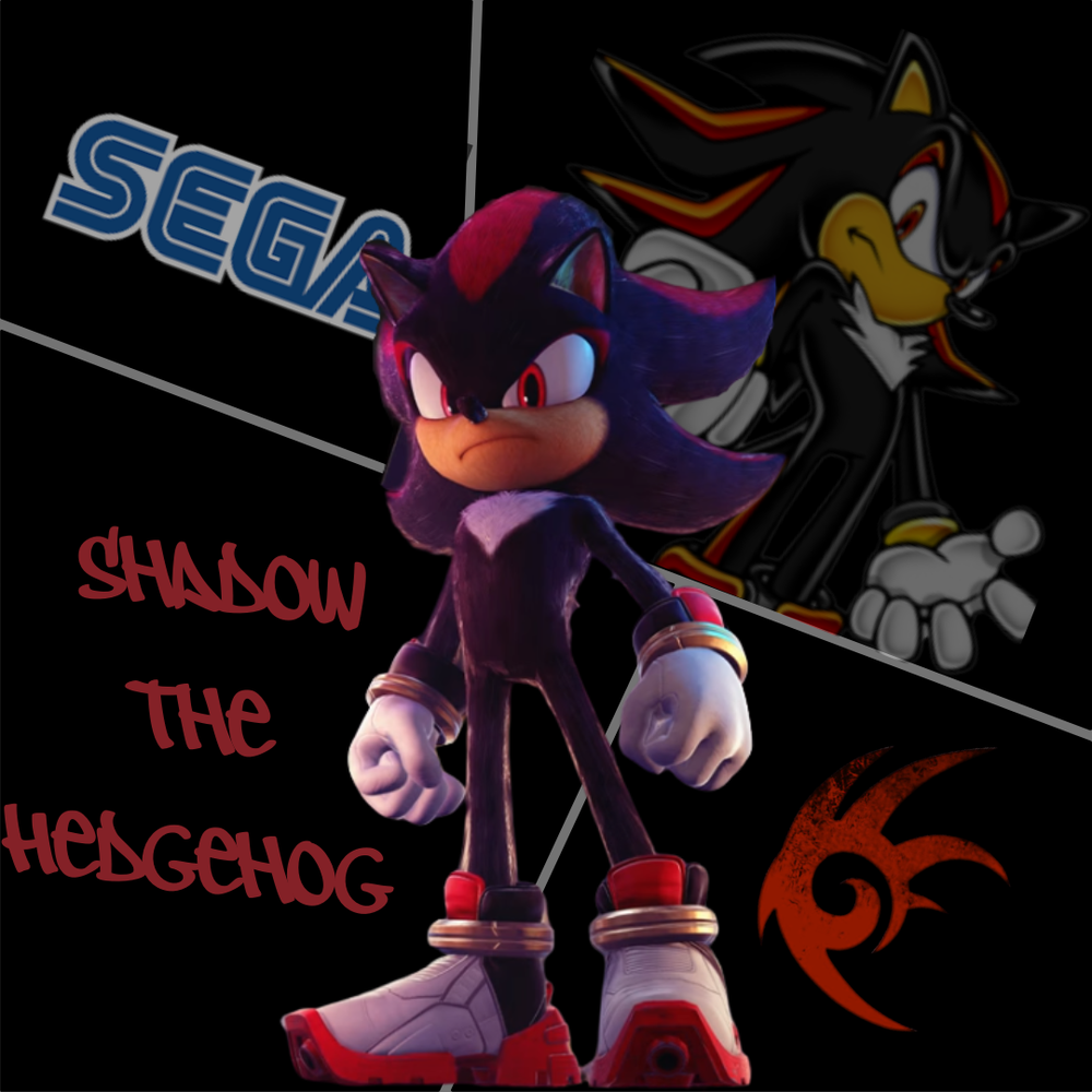 2024: The Year Shadow Left Sonic in the Dust. — RGN 99